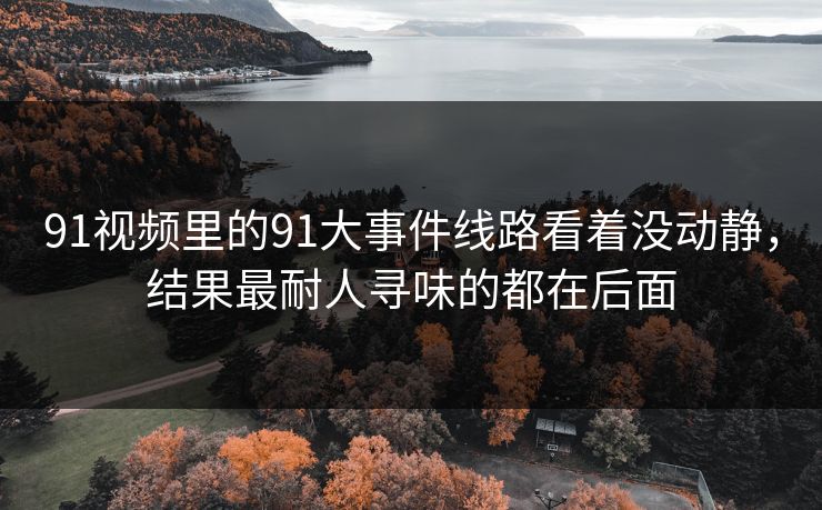 91视频里的91大事件线路看着没动静，结果最耐人寻味的都在后面