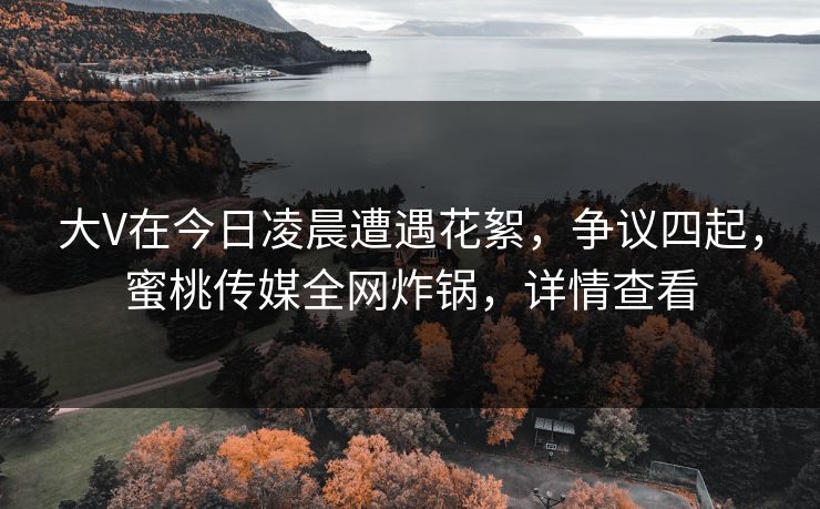 大V在今日凌晨遭遇花絮，争议四起，蜜桃传媒全网炸锅，详情查看
