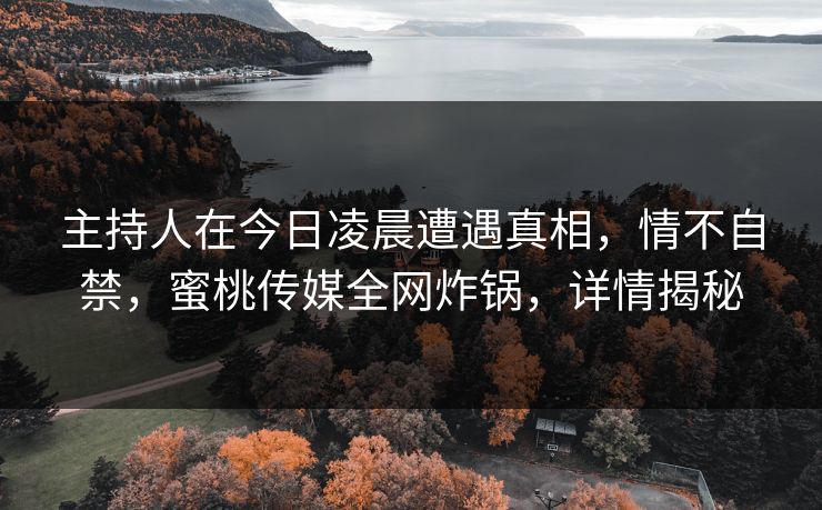 主持人在今日凌晨遭遇真相，情不自禁，蜜桃传媒全网炸锅，详情揭秘