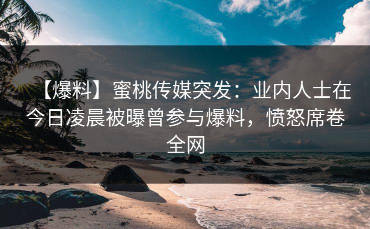 【爆料】蜜桃传媒突发：业内人士在今日凌晨被曝曾参与爆料，愤怒席卷全网