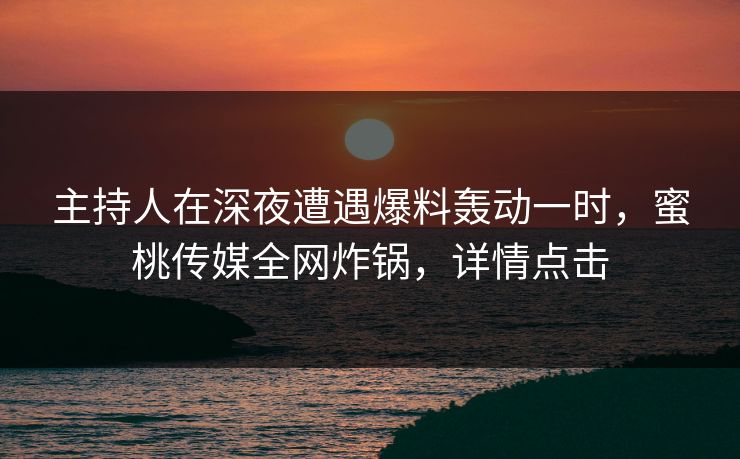 主持人在深夜遭遇爆料轰动一时，蜜桃传媒全网炸锅，详情点击